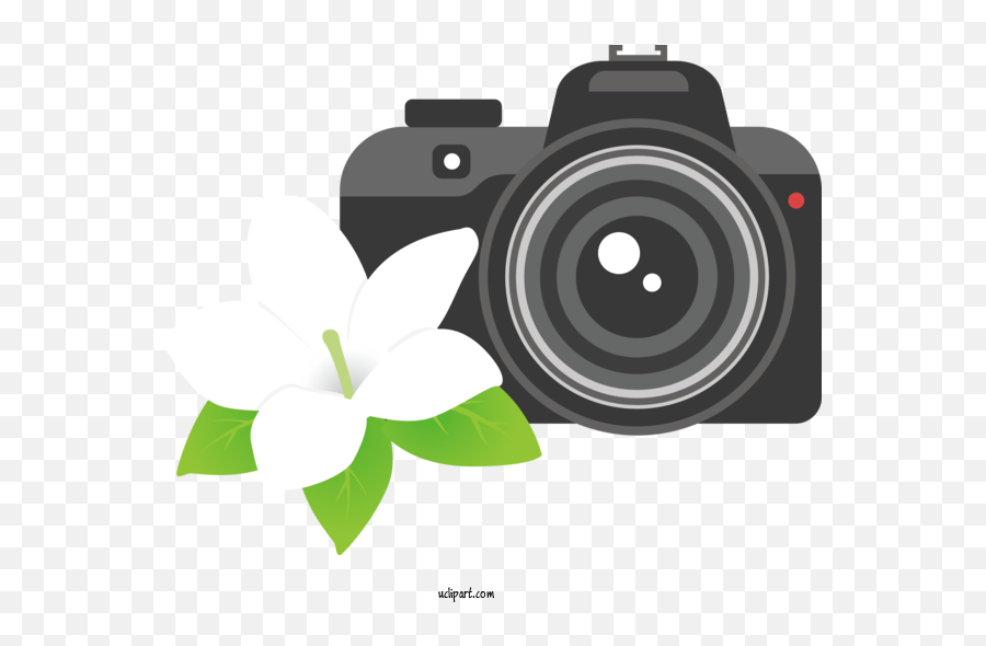 Life Camera Lens Dslr For - Camera Camera Png,Dslr Camera Icon