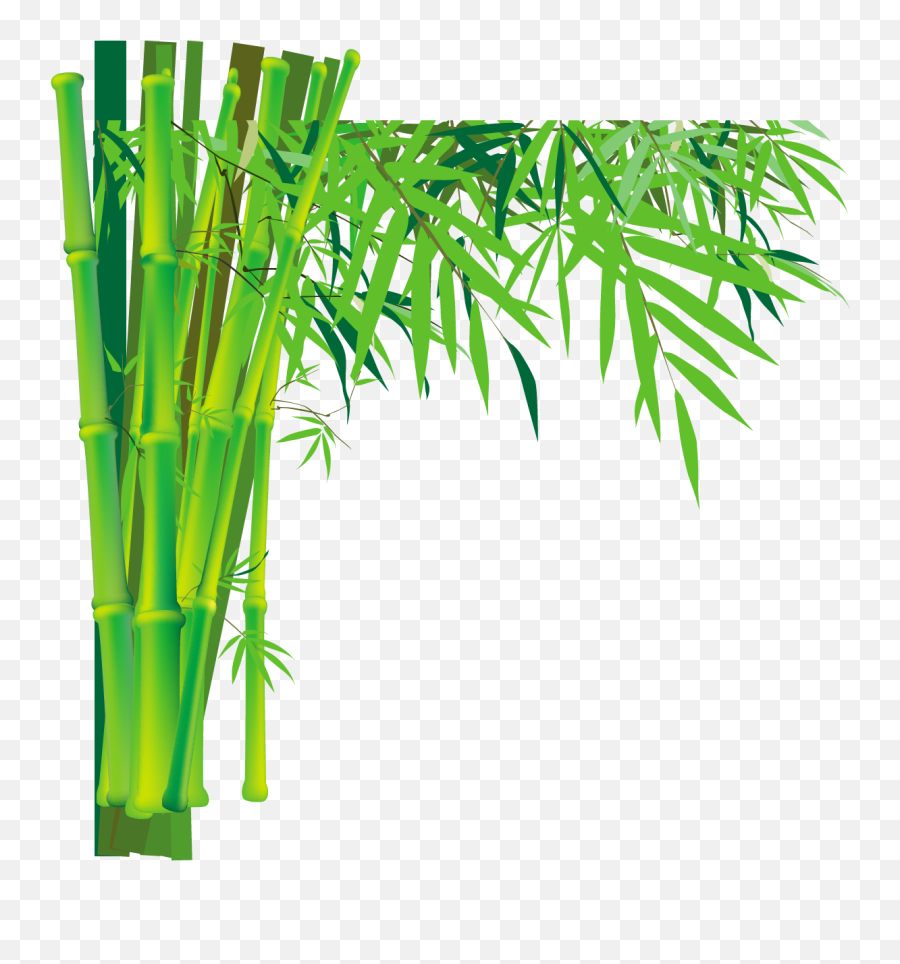 Bamboo Png - Bamboo Transparent Background,Bamboo Transparent Background