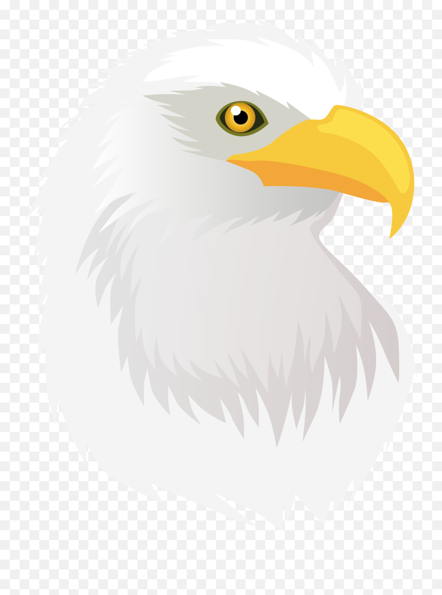 Free Bald Eagle Head Silhouette Download Clip Art - Bald Eagle Png,Eagle Head Logo