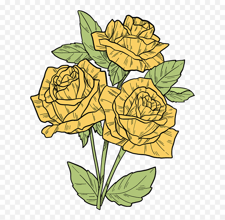 Yellow Roses Clipart - Garden Roses Png,Yellow Rose Transparent