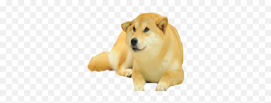 Doggo - Roblox Png,Doggo Png