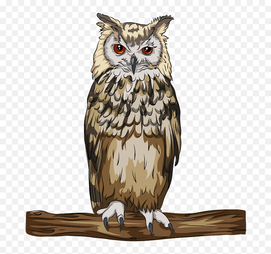 Indian Or Bengal Eagle Owl Clipart - Dibujo De Buho Real Png,Owls Png