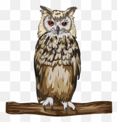 Indian Or Bengal Eagle Owl Clipart - Dibujo De Buho Real Png,Owls Png