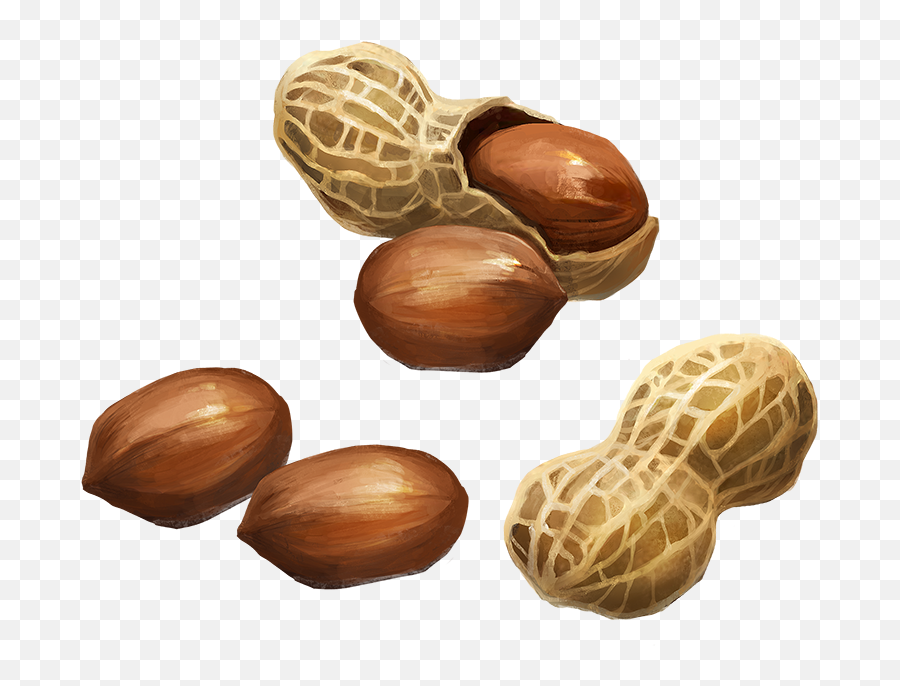 Peanuts - Portable Network Graphics Png,Nut Png