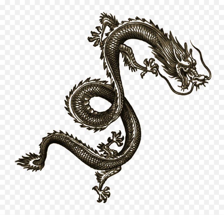 Wei Shen Tatt Dragon Tattoo Arm - Chinese Dragon Tattoo Png,Dragon Tattoo Png