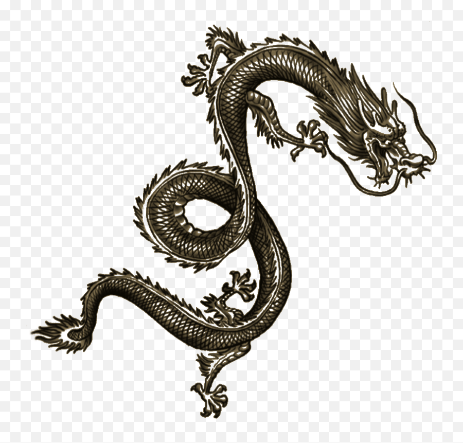 Wei Shen Tatt Dragon Tattoo Arm - Chinese Dragon Tattoo Png,Dragon ...