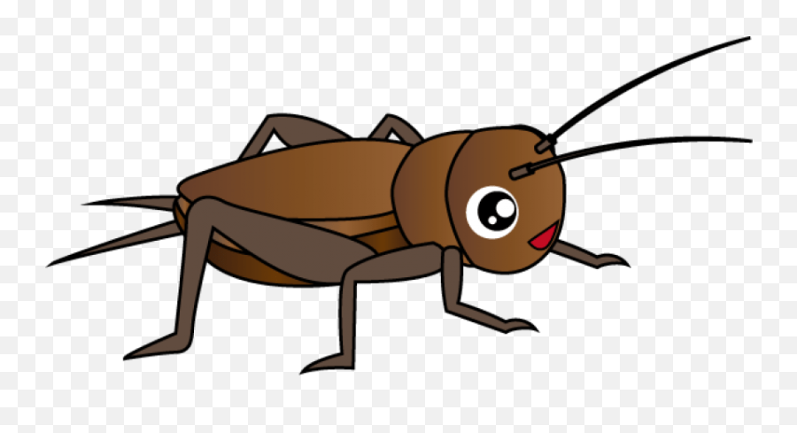 Cricket Insect Clipart Png - Cricket Insect Clipart,Insect Png