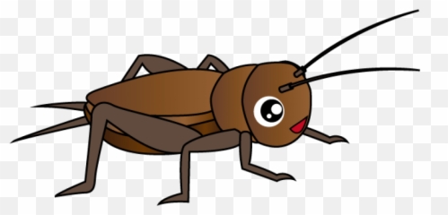 Cricket Insect Clipart Png