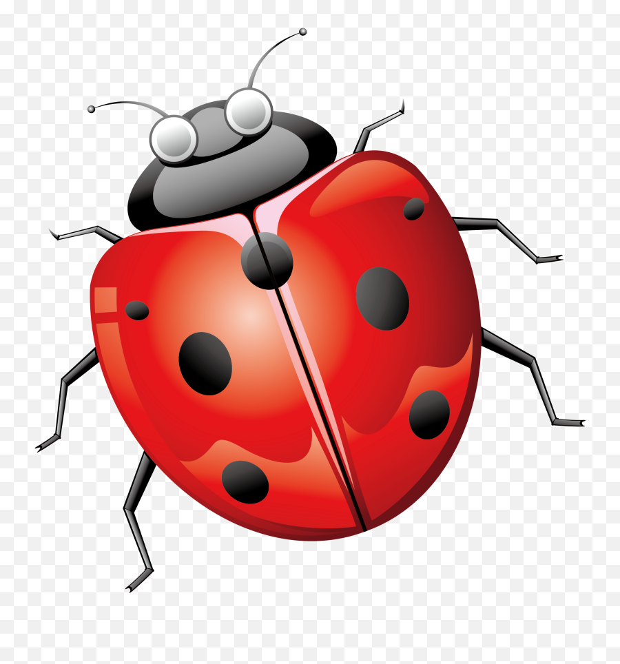 Ladybird Beetle Euclidean Vector - Seven Star Ladybug Png Beetles,Lady Bug Png