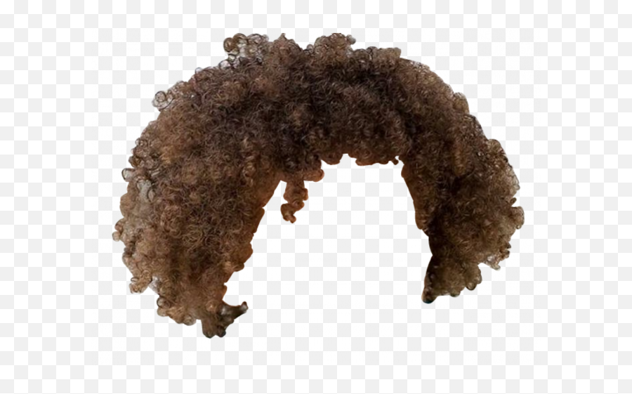 Afro Hair Png Transparent Images 19 - 1024 X 1280 Afro Hair Png,Afro Transparent