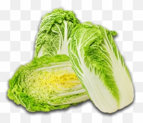 Chinese Cabbage Transparent Png - Saata Pekiska