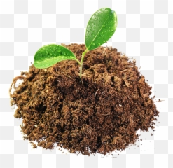 Hd Mud Png Transparent Image Big Mud Png Free Transparent Png Images Pngaaa Com