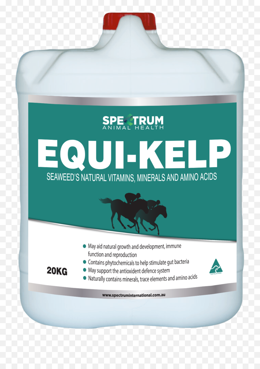 Equi - Kelp Household Supply Png,Kelp Png