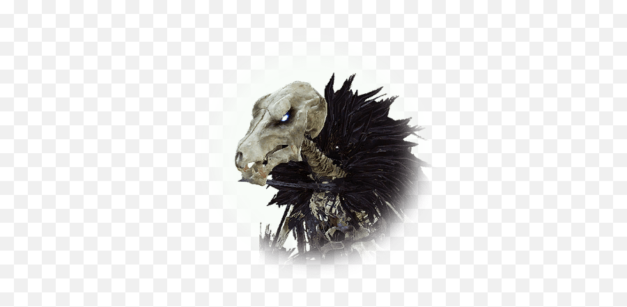 Skeleton Lizard - Bdo Codex Scary Png,Lizard Icon