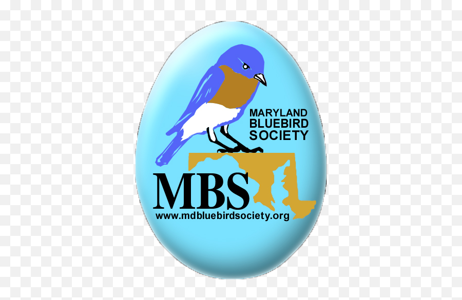 Maryland Bluebird Society Board Of - Instituto De Estudios Superiores Ame Png,Bluebird Icon