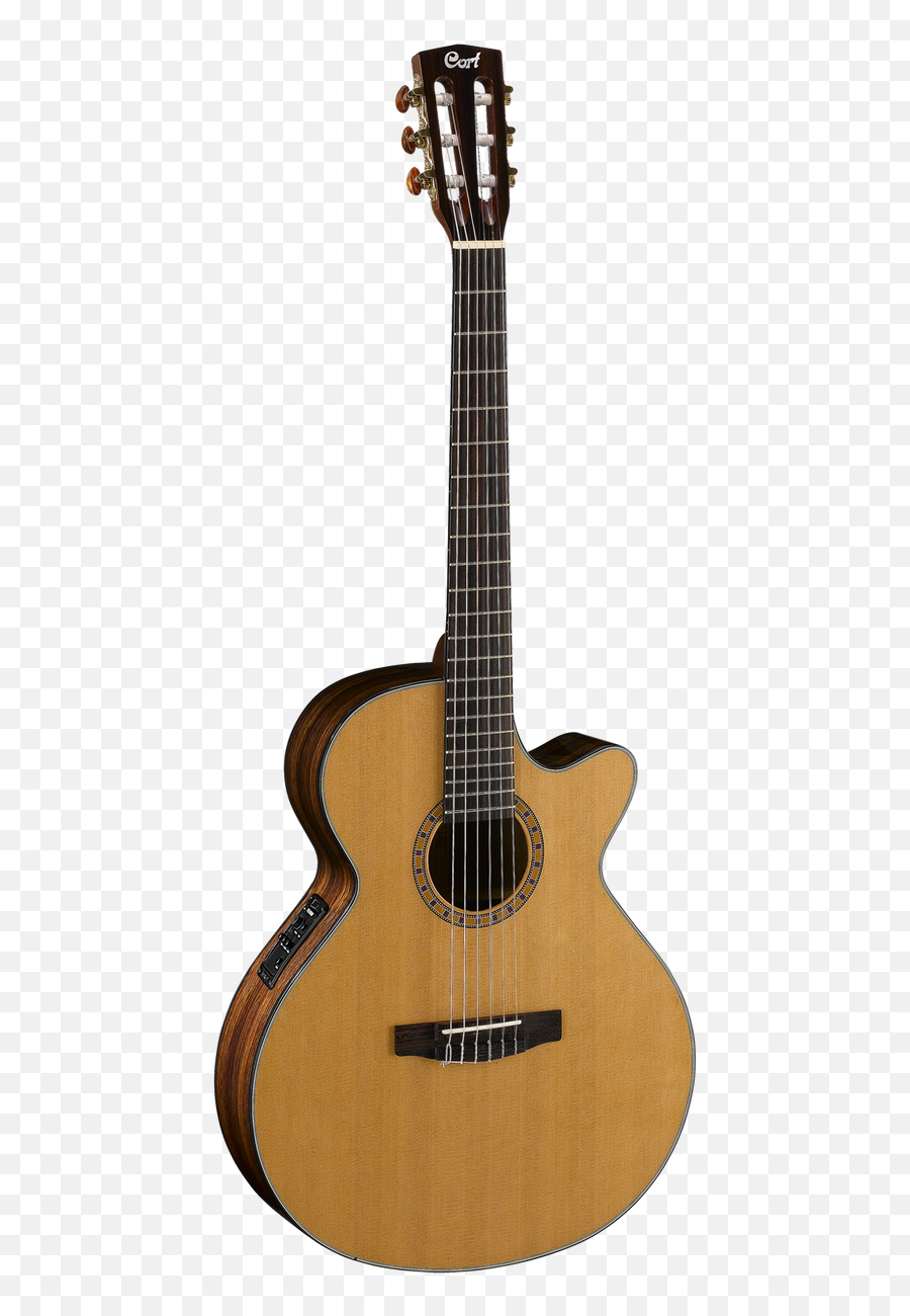 Sale U2014 Fair Deal Music - Cort Cec 5 Nat Png,Godin Icon Classic