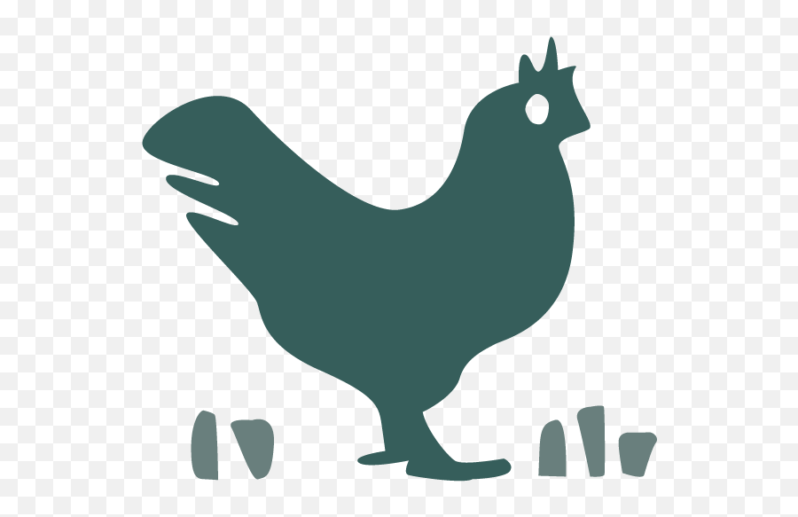 Thrive Market Goods Pasture - Raised Whole Chicken 2 Pack Comb Png,La La Land Folder Icon