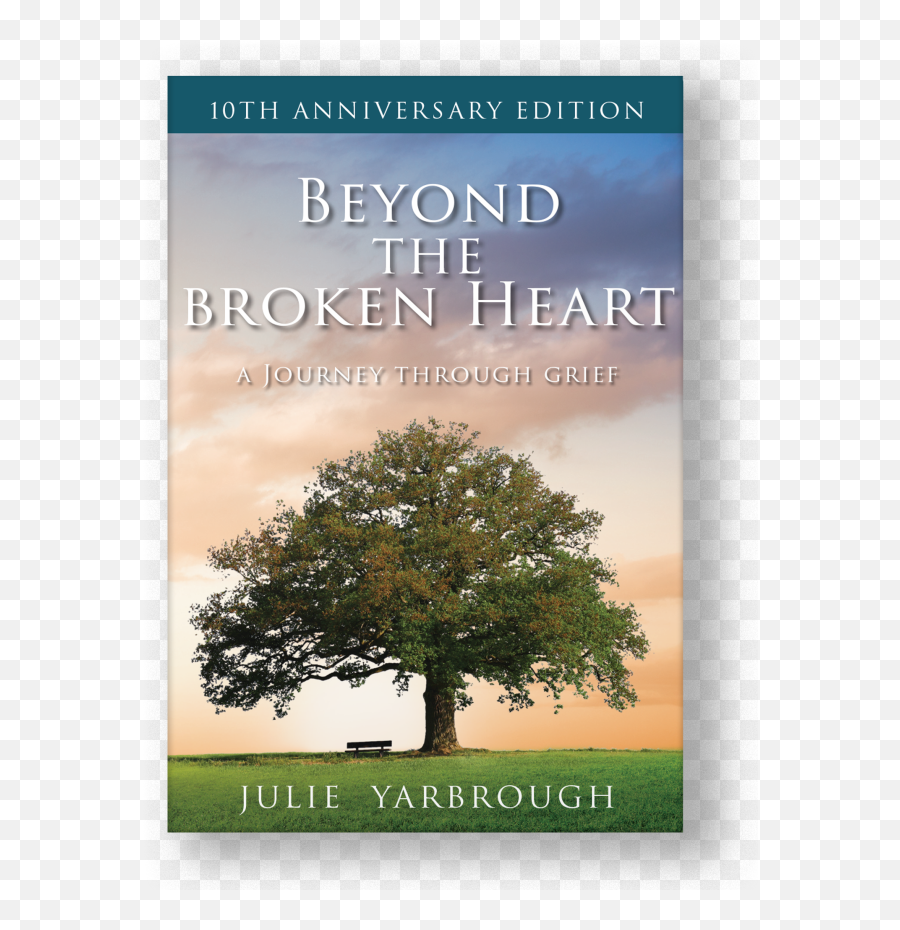 Beyond The Broken Heart Paperback Invite Resources - Beyond The Broken Leader A Journey Through Grief Png,Broken Hearts Icon