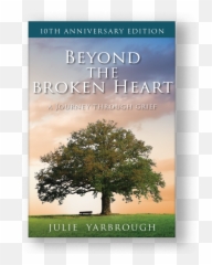 Beyond The Broken Heart Paperback Invite Resources - The Leader A Journey Through Grief png