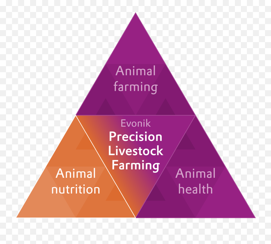 Animal Nutrition - Evonik Plf Dot Png,Animal Feed Icon