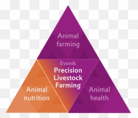 Animal Nutrition - Evonik PLF Dot png