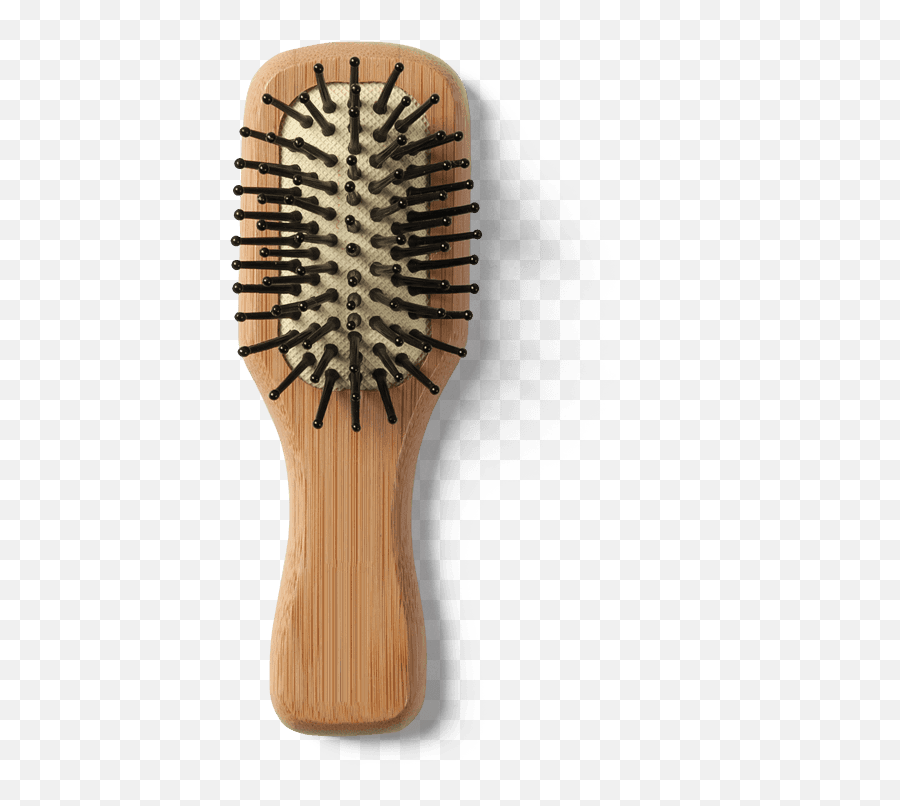 Download Shaver Hair Brush - Brush Png,Hairbrush Png