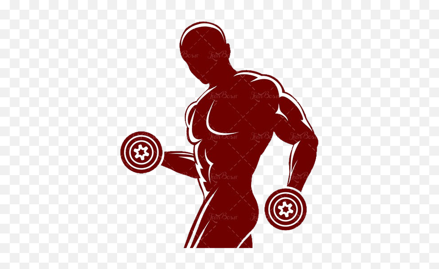 Fitness Centre Weight Training Silhouette Muscle Physical - Bodybuilder With Dumbbell Vector Png,Weights Png