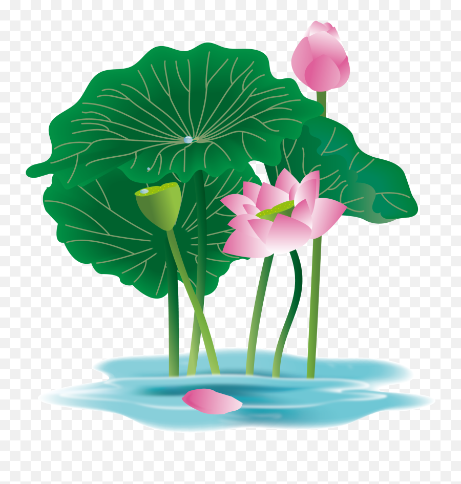 Download Hand Painted Plant Flower Water Lily Png And Vector - Plants,Lily Png