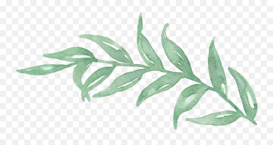 Watercolor Leaves Png Picture - Watercolor Transparent Leaves Png,Watercolor Leaves Png