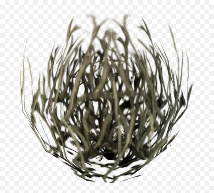 Tumbleweed - Sphere Png,Tumbleweed Png