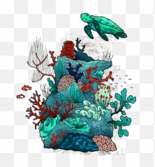 My Betta Fish Care - Life Png,Betta Fish Png