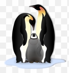 Fun Facts About Penguins - Cool Australia Emperor Penguin Clipart png