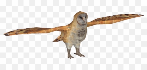 Barn Owl Png Image - Barn Owl,Barn Owl Png