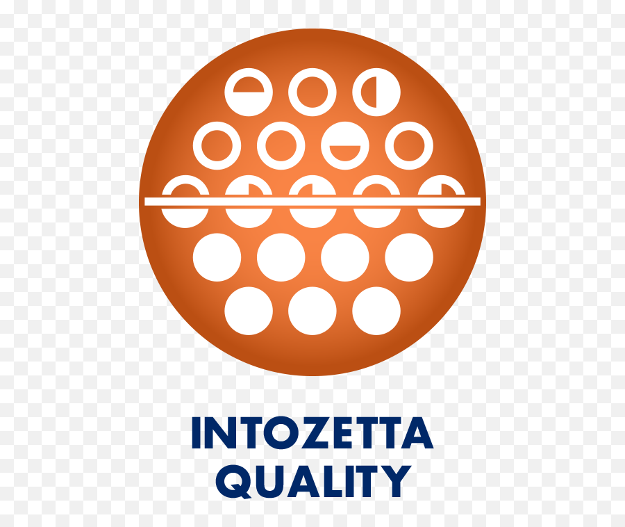 Data Quality Software And Services U2014 Intozetta - Portable Network Graphics Png,Quality Icon Png