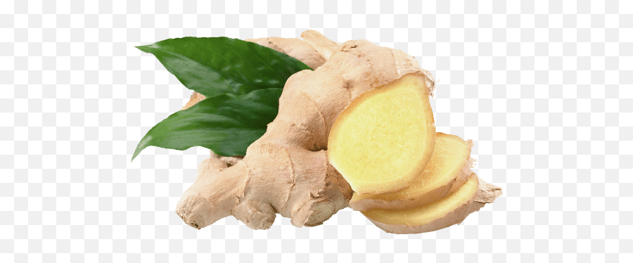 Ginger In Png - Ginger Png,Ginger Png