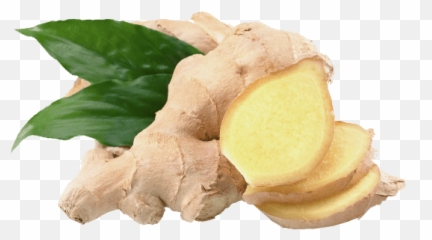 Ginger In Png - Ginger Png,Ginger Png