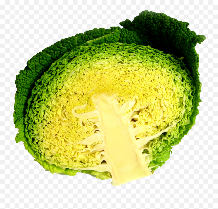 Cabbage Half Png Image - Vegetarian Cuisine,Cabbage Transparent Background