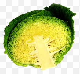 Cabbage Half Png Image - Vegetarian Cuisine