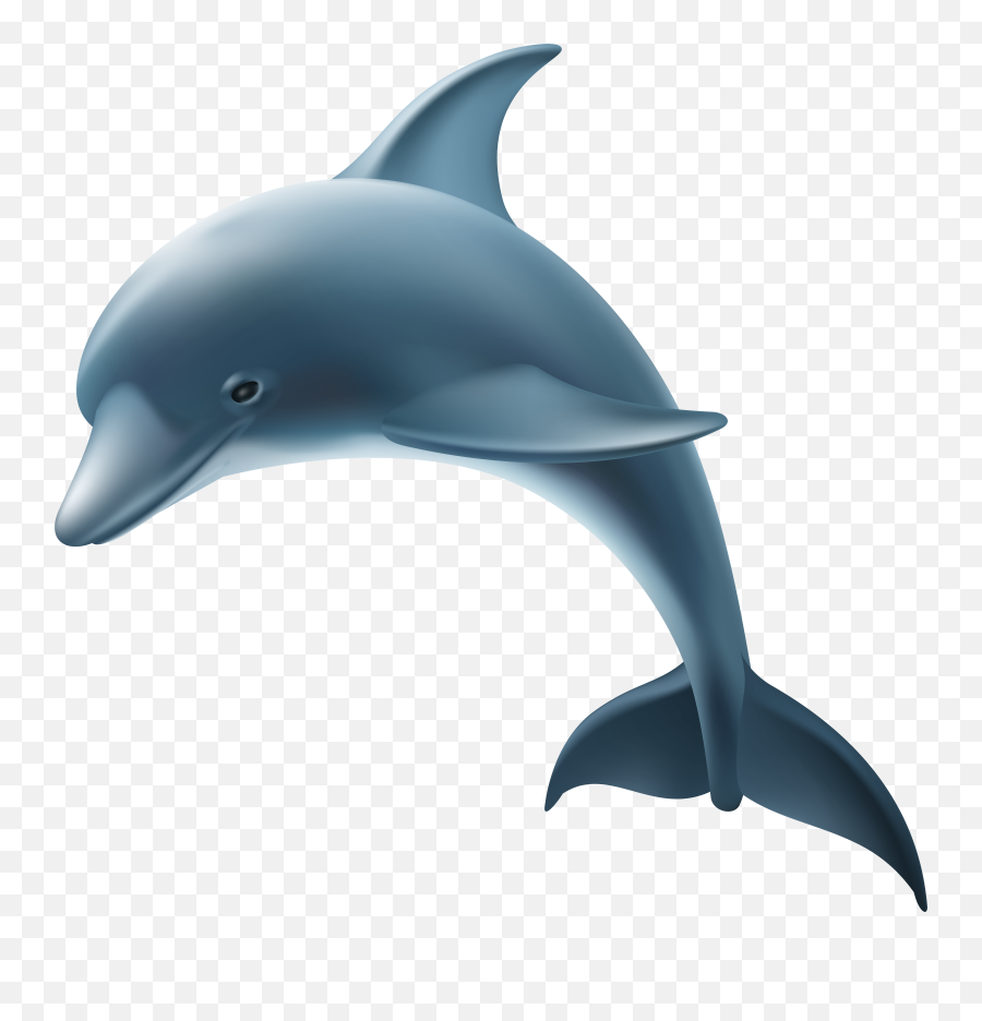 Dolphin Transparent Png Clipart Free Background