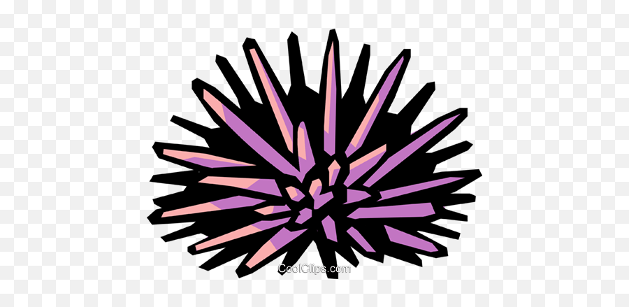 Sea Urchin Royalty Free Vector Clip Art - Sea Urchin Clipart Png,Sea Urchin Png