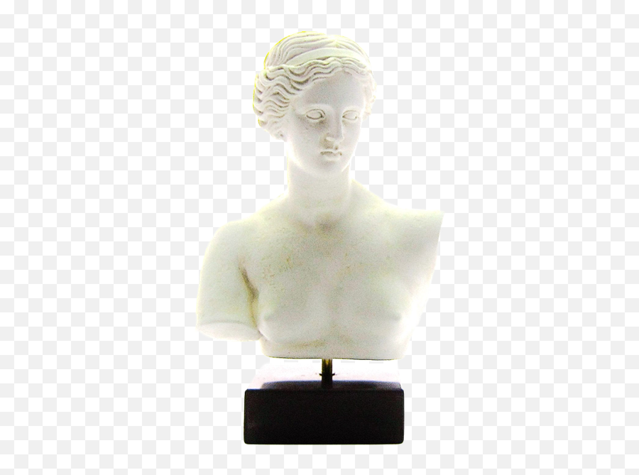 Greek Sculpture Casting Of Bust - Alabaster Png,Greek Bust Png