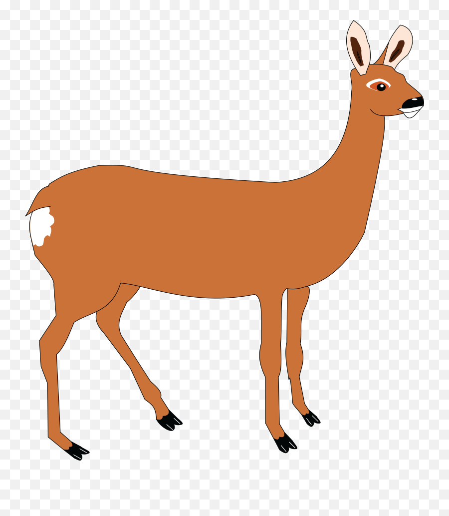 Doe Clipart Transparent Png Image - Doe Clipart Png,Doe Png