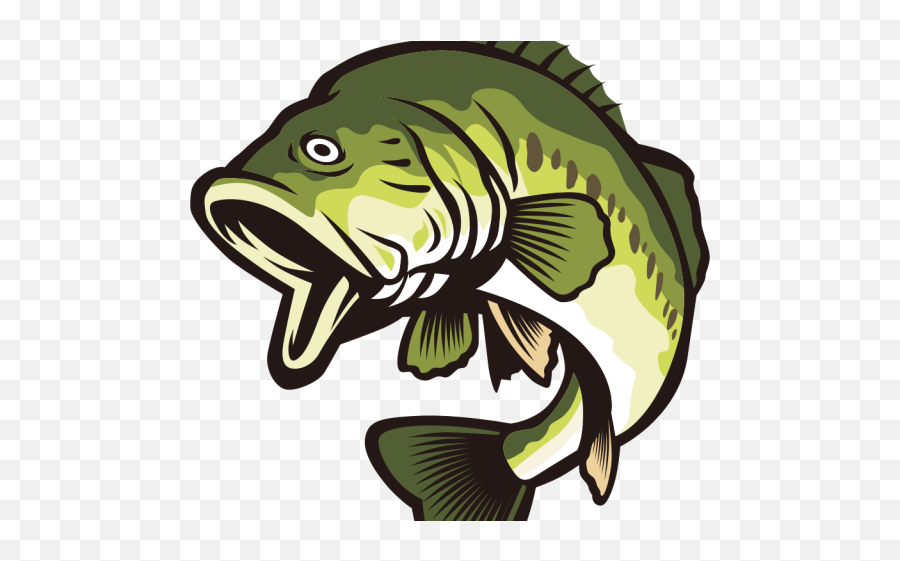 Fish Clipart Bass - Largemouth Bass Fish Transparent Png,Largemouth Bass Png