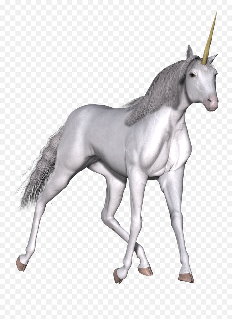 Full White Unicorn Walking Transparent Png - Stickpng Unicorn,Transparent Unicorn