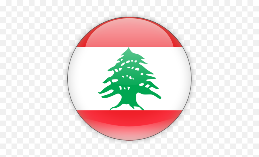 Translate - Central Elementary School Lebanese Flag Png,Green Flag Icon