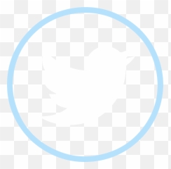 Endowed Chairs And Professorships - YSU Foundation Twitter Gif png