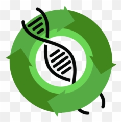 Anita Borg Celebration Munich 2016 - Language Png,Borg Icon
