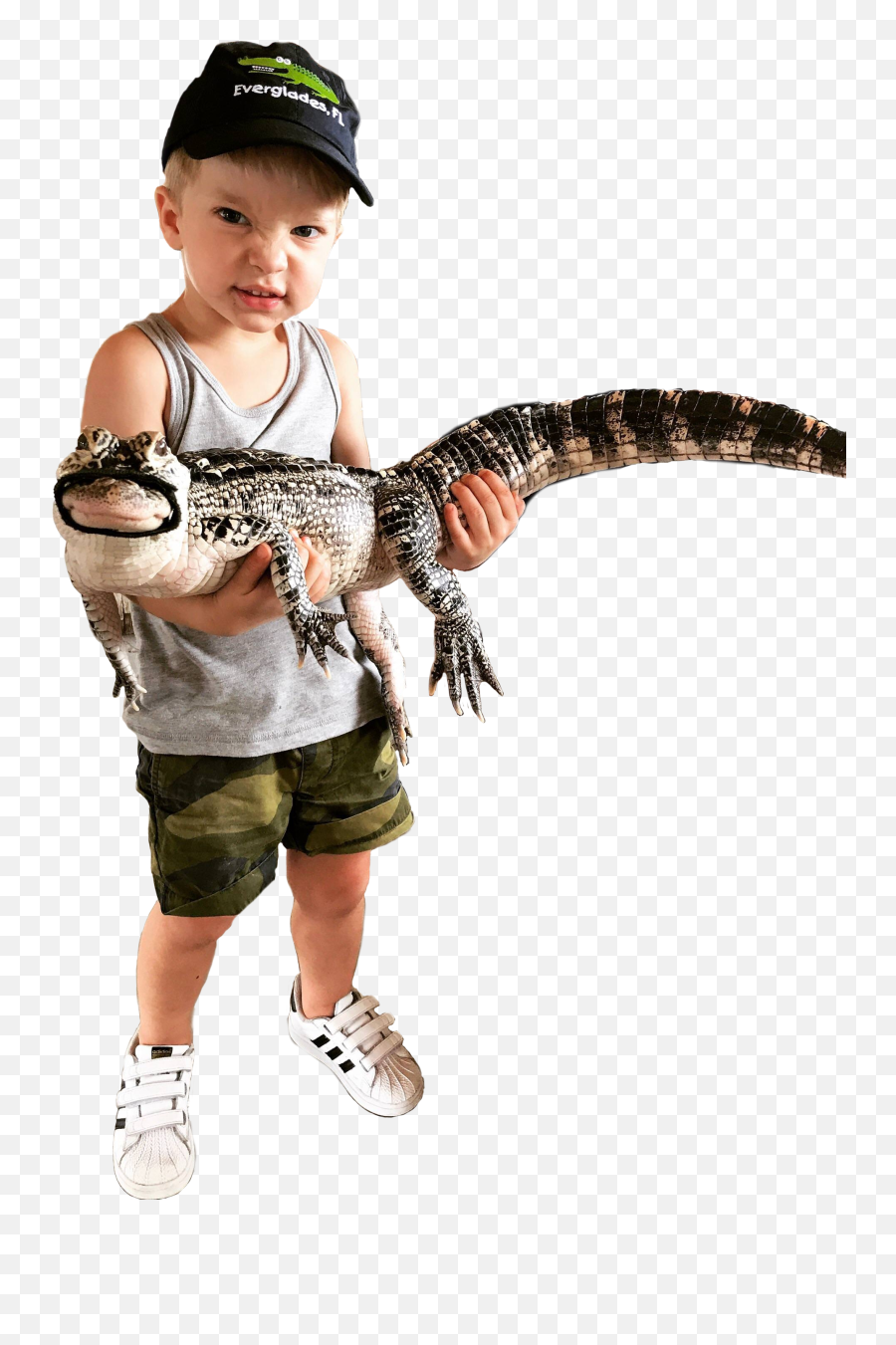 3 Year Old Holding An Alligator - Imgur 3 Year Old Transparent Png,Alligator Transparent Background