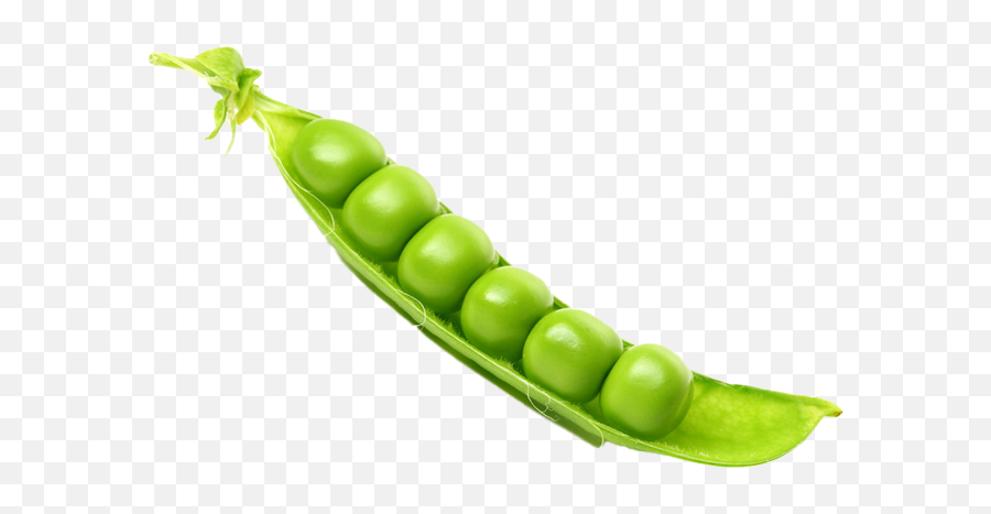 Pea Transparent Images Png Play - Peas,Peas Png