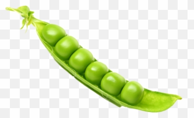Pea Transparent Images Png Play - Peas,Peas Png